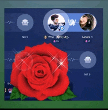 a red rose is in the middle of a screen that says no. 2 and no. 8