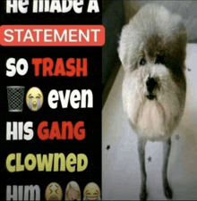 a dog standing next to a sign that says he made a statement so trash even his gang clowned him