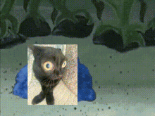 a picture of a black cat with a blue object behind it