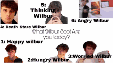 a collage of wilbur 's faces with the caption 5 thinking wilbur