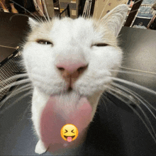 a close up of a cat 's face with a smiley face on it