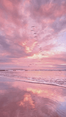 a flock of birds flying over a beach with a pink sky