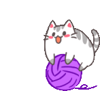 a cat is playing with a ball of yarn .