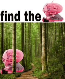 a pink stuffed animal is sitting in the middle of a forest with the words find the above it