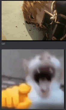 a gif of a cat with its mouth open and a gif of a man with blood on his face