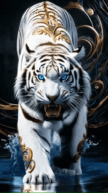 a white tiger with blue eyes and a gold collar