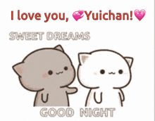 a couple of cats standing next to each other with the words i love you yuichan sweet dreams good night