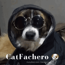 a dog wearing sunglasses and a hoodie with the name catfachero on it