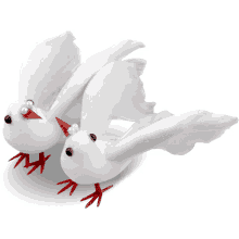 a couple of white birds with red feet and pearls on their beaks