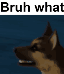 a picture of a dog with the words bruh what behind it