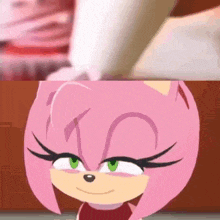 a close up of amy the hedgehog 's face with a blurry background