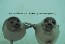 two seals are standing next to each other with the words " this could be us but i fucked up the opening line "