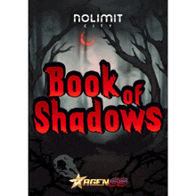 a book of shadows cover with a skull and a crescent moon