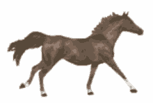 a drawing of a brown horse walking on a white background