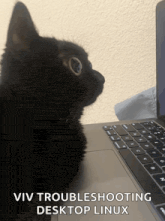 a black cat is looking up at a laptop with the words " viv troubleshooting desktop linux " below it