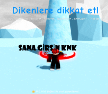 a screenshot of a game that says " dikenlere dikkat et sana girsin knk "