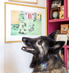 a dog standing in front of a framed picture that says " ii " on it