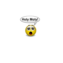 a surprised smiley face has a speech bubble that says holy moly