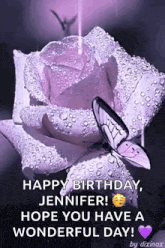 a purple rose with water drops on it and a butterfly