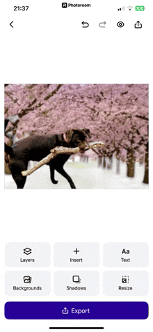 a dog is holding a stick in front of cherry blossoms on a phone screen