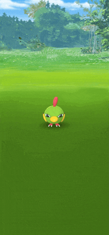 a small green bird with a red crest on its head is standing in a grassy field .