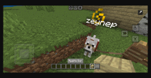 a screenshot of a minecraft game with the name zeynep on the screen