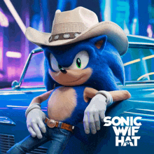 a picture of sonic the hedgehog wearing a cowboy hat and jeans