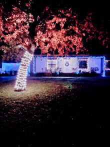 a house is decorated with christmas lights and a tree in front of it