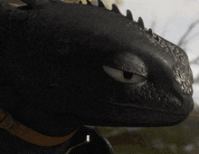 toothless from how to train your dragon is looking at the camera with his eyes closed