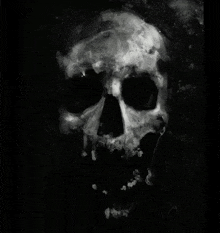 a black and white painting of a skull with the year 2011 on the bottom right corner