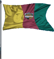 a yellow red and green flag with a coat of arms in the middle