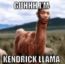 a llama with a man 's face on its head is standing in a field .