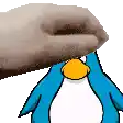 a person is petting a penguin with their hand .