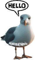 a seagull with a hello speech bubble above it