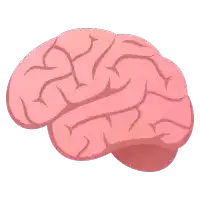 a cartoon drawing of a human brain with a white background