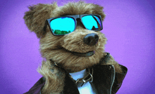 a stuffed animal wearing sunglasses and a jacket on a purple background