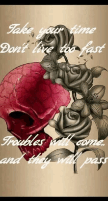 a picture of a skull with roses and the words take your time don 't live too fast troubles will come and they will pass