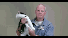 a man in a blue shirt holds a white cat with a green leash and a name tag that says ' chris '