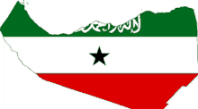 a green white and red flag with a black star in the center