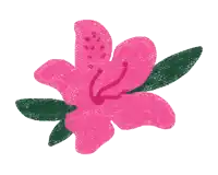 a drawing of a pink flower with green leaves against a white background