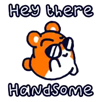 a cartoon hamster wearing sunglasses says hey there handsome