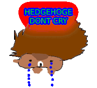 a cartoon of a hedgehog crying with the words hedgehoge dont cry above him