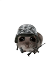 a hamster is wearing a military helmet and holding a gun .