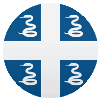 a blue and white flag with snake symbols on the corners