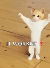 a cat is standing on its hind legs with the words " it worked " written above it