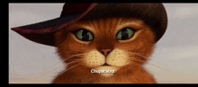 a close up of a cat wearing a hat that says chupacabra on the bottom