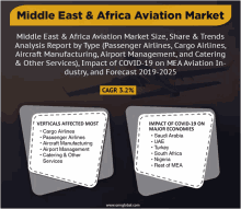 middle east and africa aviation market analysis report by type ( passenger airlines cargo airlines aircraft manufacturing airport management and catering & other services