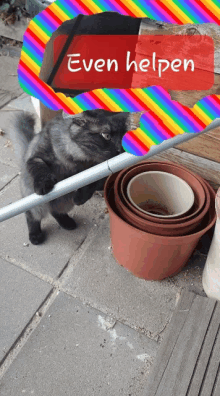 a cat standing next to a stack of pots with a red sign that says even helpen