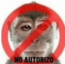 a picture of a monkey with a red circle around it and the word no on it .