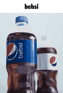 a painting of two bottles of pepsi with the word bebsi above them